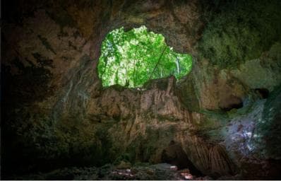 Excursion Los Haitises + Raised Key (Bacardi Island) from Santo Domingo