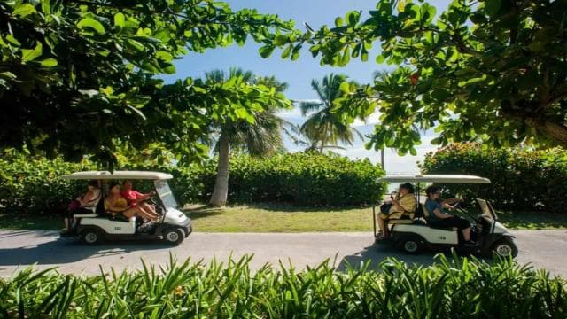 Punta Cana: Iguana Sanctuary, Sailing & BBQ Tour - Photo 3 (Gallery view)