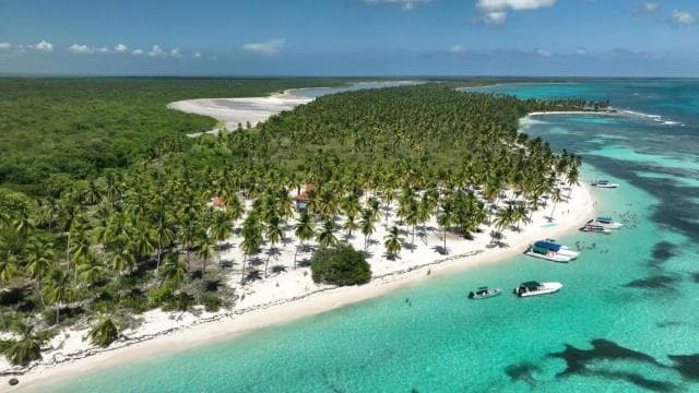 Saona Island Day for Marella Discovery (La Romana Port) - Photo 5 (Gallery view)