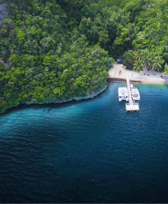 Los Haitises National Park & Cayo Levantado Tour from Samaná Port – Adults $60 | Kids $45