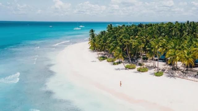 Von Bayahibe: Insel Saona, offene Bar, Schnellboot und Mittagessen - Photo 2 (Gallery view)