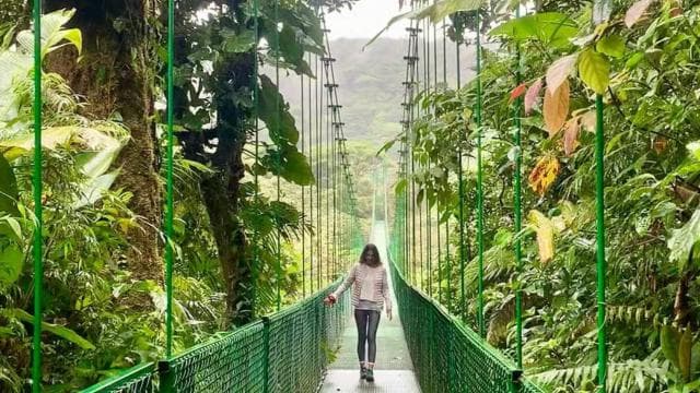 Monteverde Hanging Bridges and Night Walk Tour