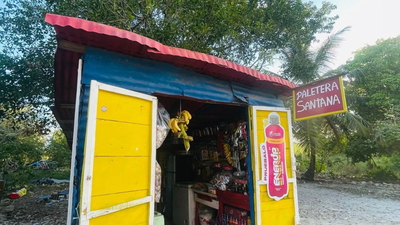 Full-Day Cruise of Isla Saona from Santo Domingo with Lunch