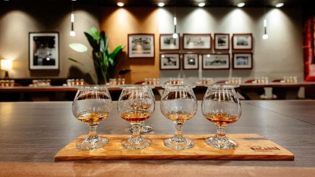San Juan: Casa Bacardi Distillery Tour
