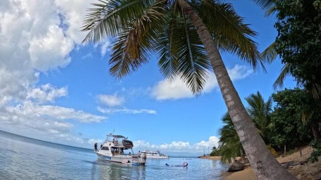 Vieque: Power Boat Turtle Snorkel and Beach Tour with Lunch