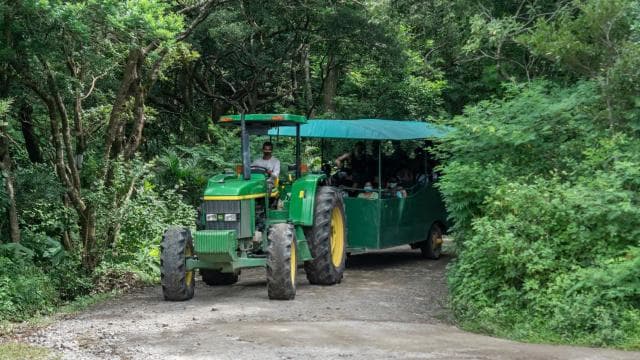 Rincón de la Vieja: Eco Adventure 12-in-1 Day Pass - Photo 3 (Gallery view)