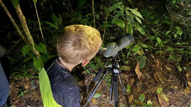 True Jungle Night Tour Manuel Antonio area - Dominican Republic