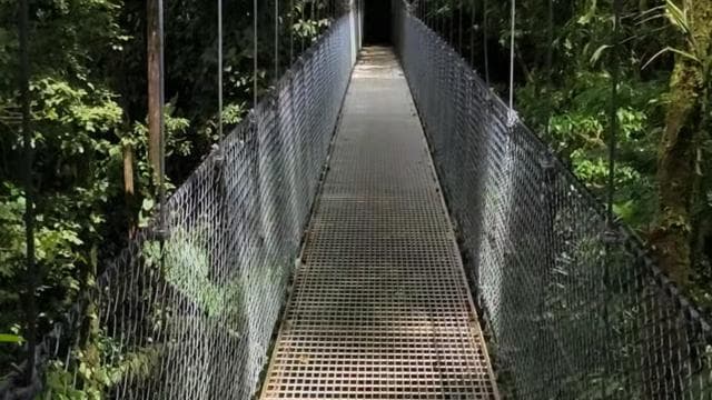 Fortuna Arenal : Tropical Rainforest Arenal Hanging Bridges
