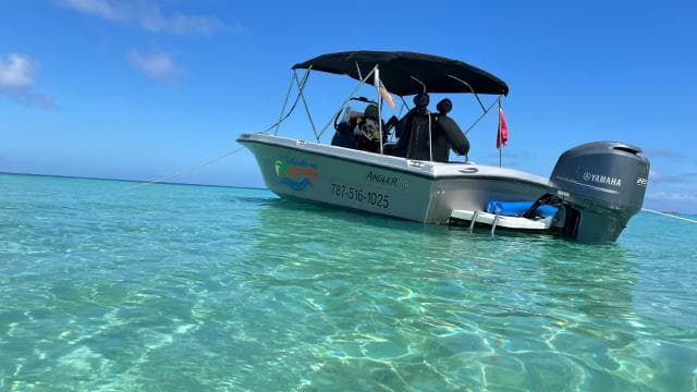 Fajardo: Private Half-Day Boat Charter to Icacos or Palomino