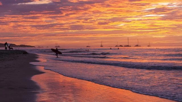Tamarindo: Turtle Nesting Tour Tamarindo, Guanacaste, CR