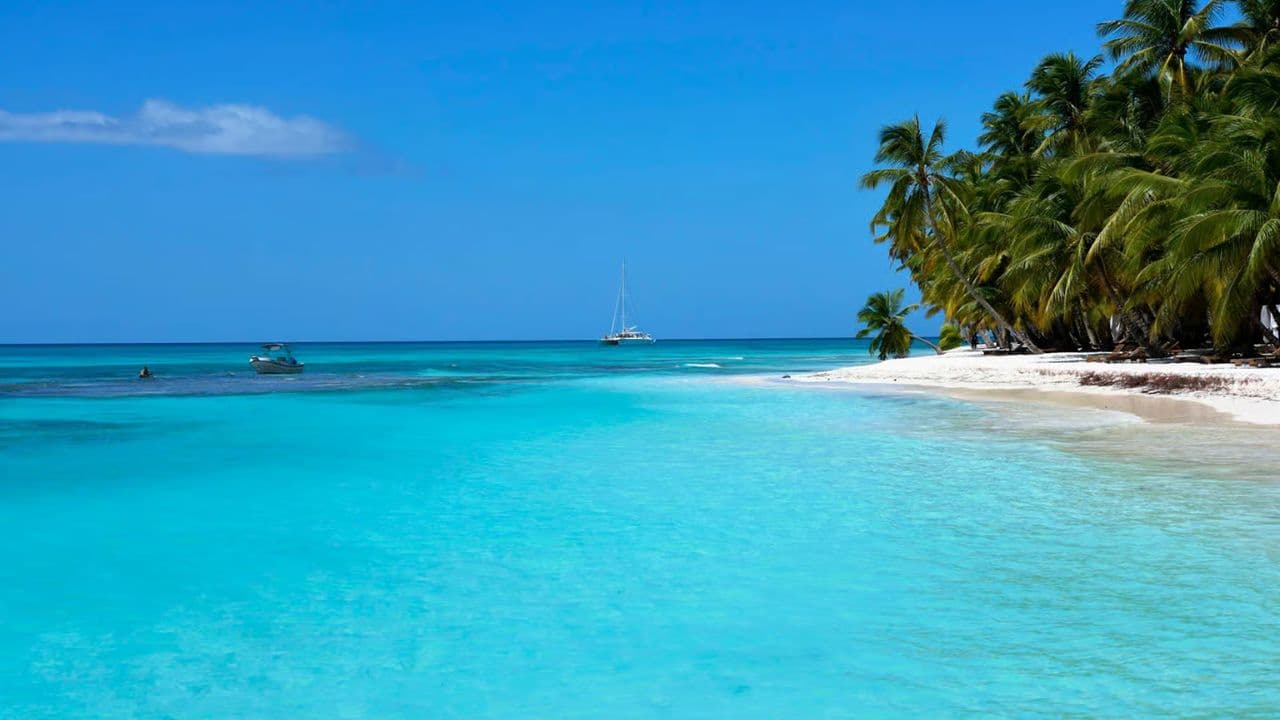 Punta Cana: Saona Island Day Trip with Open Bar and Lunch