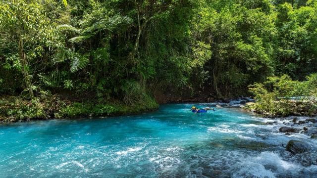 Ticket to Rio Celeste Waterfall & Tenorio National Park - Photo 2 (Gallery view)