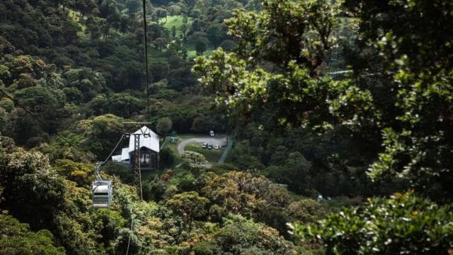 Monteverde: TreeTram Cableway and Cloud Forest Hiking Trail