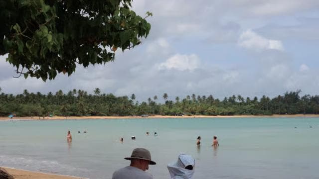 Puerto Rico: Jetski & Tropical Coast Experience - Photo 2 (Gallery view)