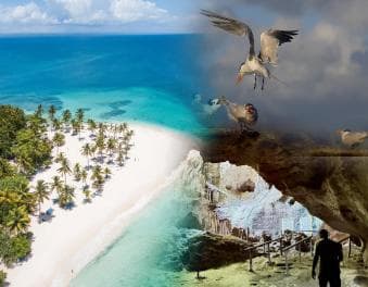 Santo Domingo: Los Haitises & Cayo Levantado Island