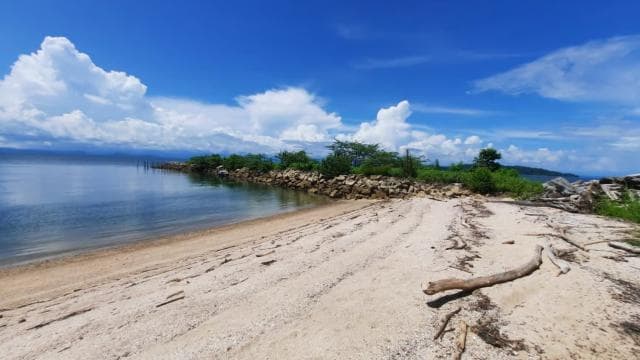 From Puntarenas: Bioluminiscence Boat Tour with BBQ & Drinks - Photo 3 (Gallery view)