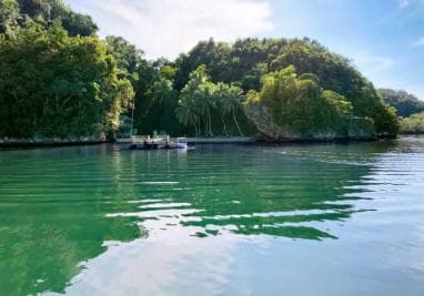 Los Haitises National Park: Private Boat Tour from Caño