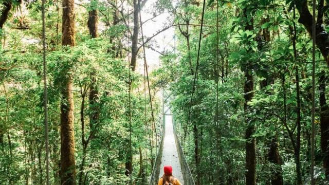 Monteverde: SkyWalk Hanging Bridges Adventure