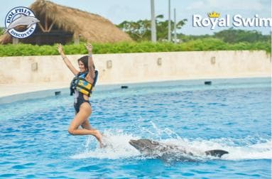 Punta Cana: Swim or Interact with Dolphins in the Sea