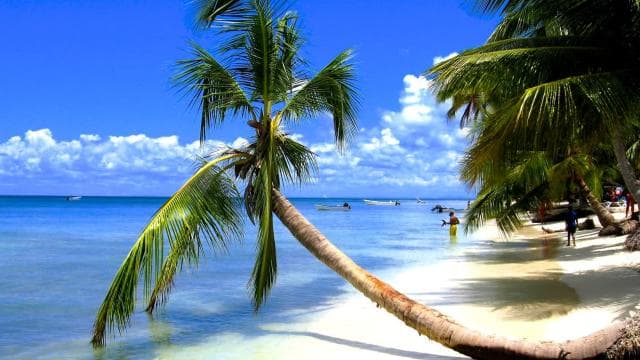 From Bayahibe: Saona Island, Open Bar, Speedboat & Lunch - Dominican Republic