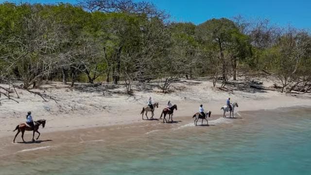 Horseback Riding & Massages Beach Tour - Photo 2 (Gallery view)