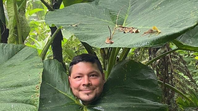 Monteverde: Cloud Forest Tour with Guide & Photos - Dominican Republic