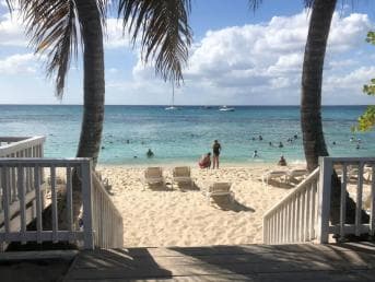 From Punta Cana: Small Group Catalina Island Snorkeling Tour