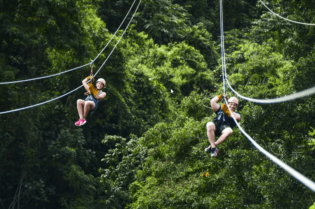 Punta Cana: Ziplines Adventures & Monkeyland Entry - Dominican Republic