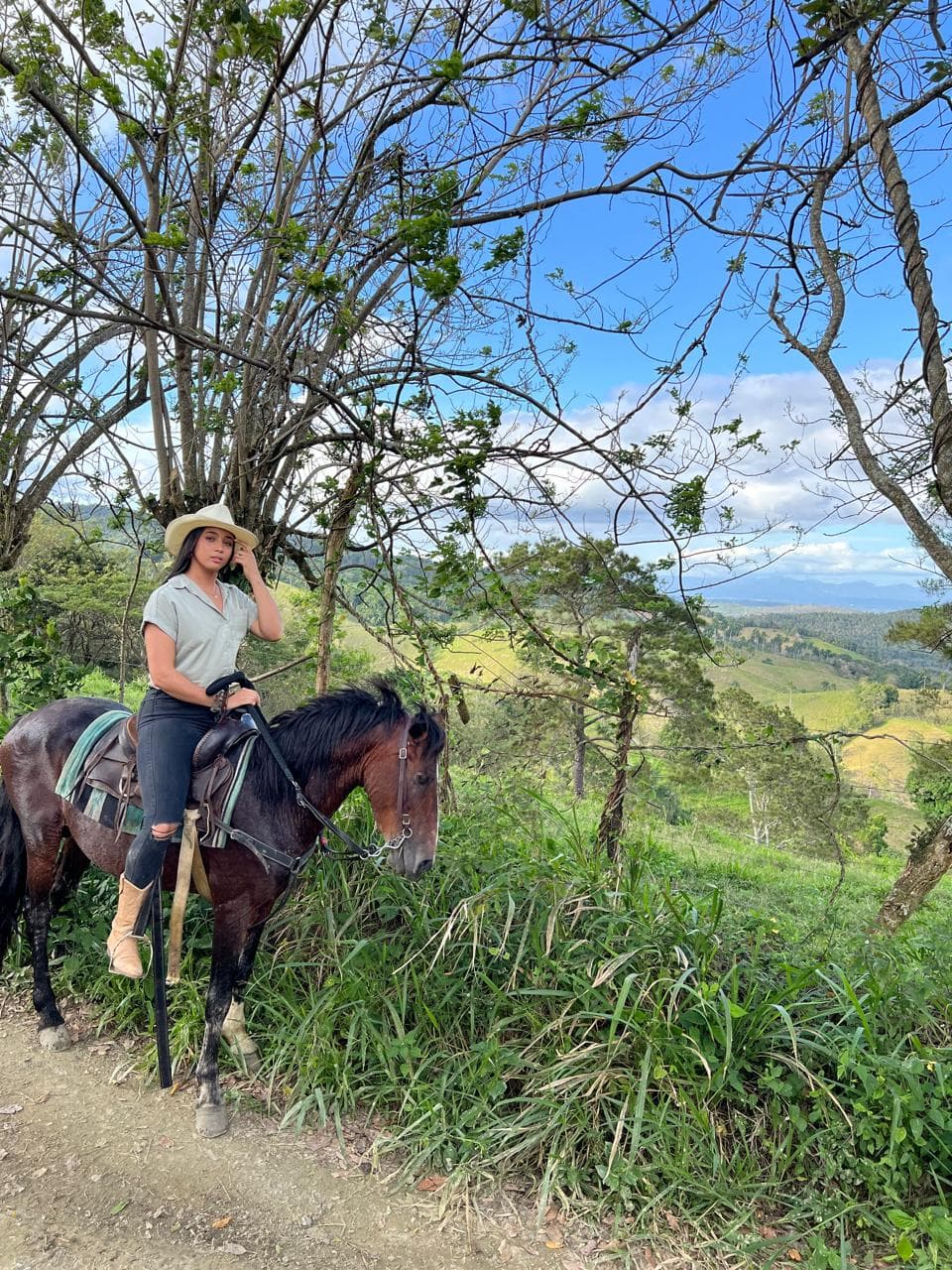Jarabacoa: Horseride Excursion to Salto Baiguate Waterfall