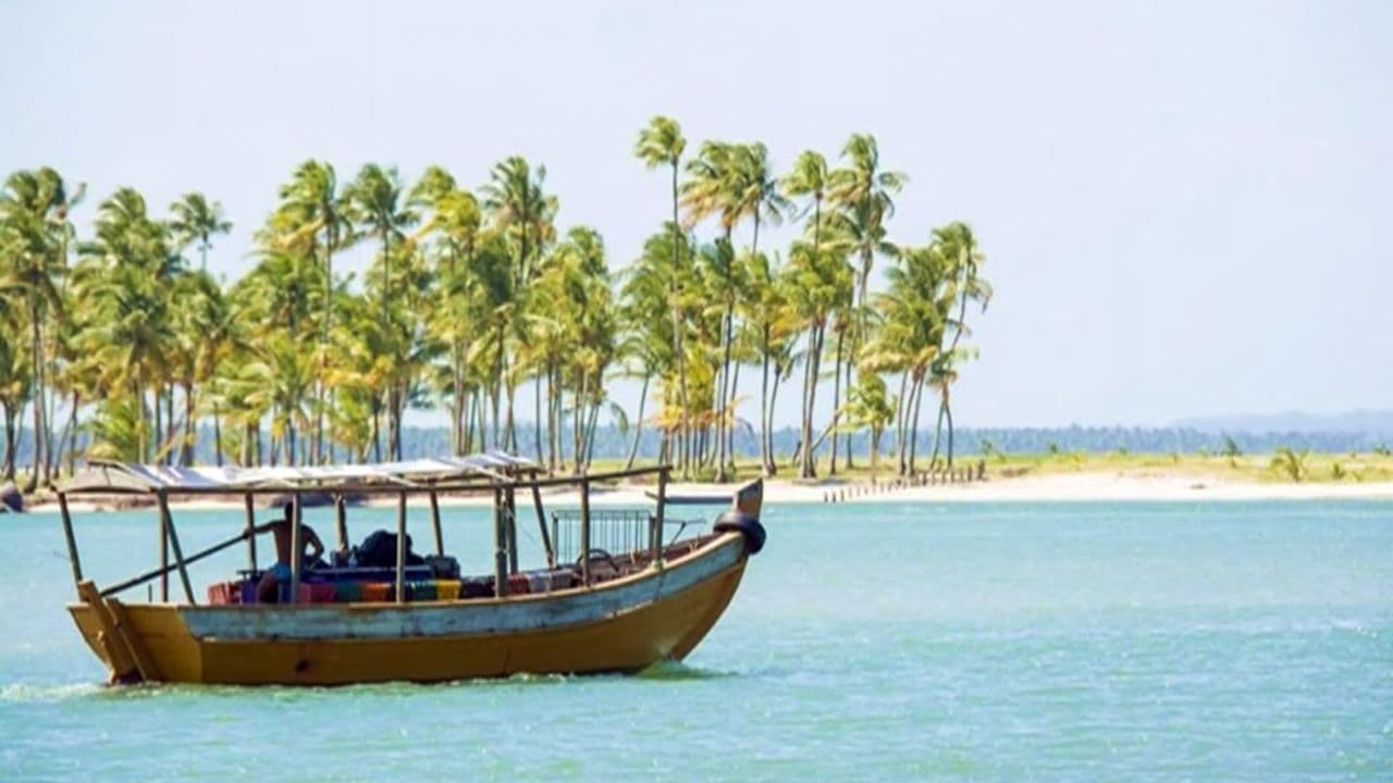 Private Transfer Punta Cana Airport to Bahia P. Bouganville