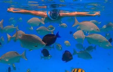 Monkeys and Snorkel Adventure in Sosúa, Puerto Plata - Photo 3 (Gallery view)