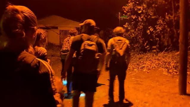 Jungle Pack x 3 Tour in the National Park