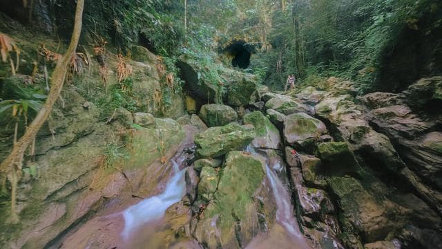 Discover a Hidden Paradise & Learn about Plants.