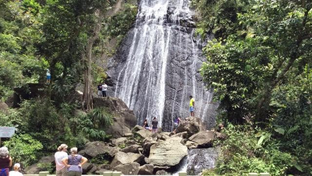 San Juan: El Yunque Rainforest Guided Tour