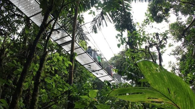 San Jose: Arenal Hanging Bridges & Baldi Hot Springs Tour