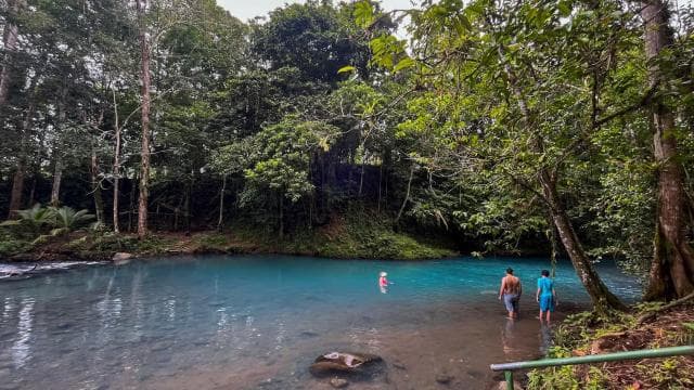 Rio Celeste: Natural Pool in the forest - Dominican Republic