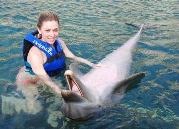 Punta Cana: Swim or Interact with Dolphins in the Sea - Photo 4 (Gallery view)