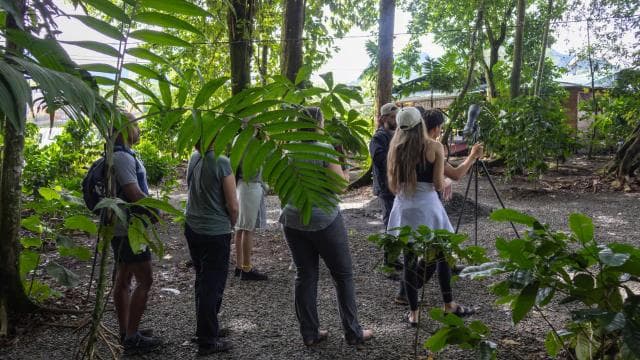 La Fortuna: Sloths & Coffee, Chokola ak Sugarcane Tour - Photo 5 (Gallery view)