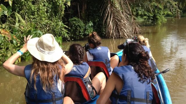 Tortuguero: Canoe Tour and Wildlife Spotting - Dominican Republic