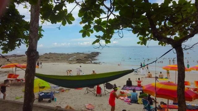 Playa Mantas: Morning Guided Snorkeling Tour Near Jaco Beach