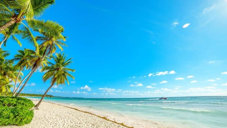 Samana: Cayo Levantado with Transportation Included - Photo 4 (Gallery view)