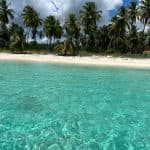 Saona Island: Small Group Virgin Beaches Cruise Day Trip - Photo 4 (Gallery view)