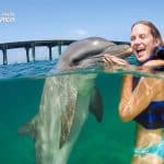 Dolphin Swim in Punta Cana – Best 60-min Dolphin Discovery