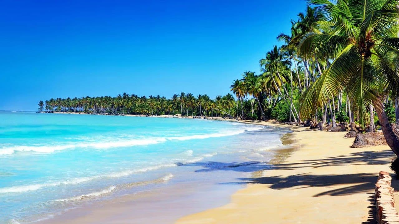 Santo Domingo: Samana, El Limon Waterfall and Cayo Levantado