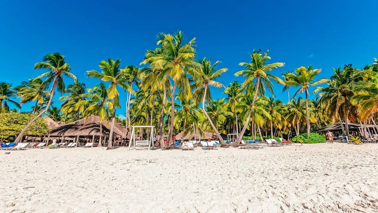 Explore Saona Island: Catamaran Tour from Punta Cana