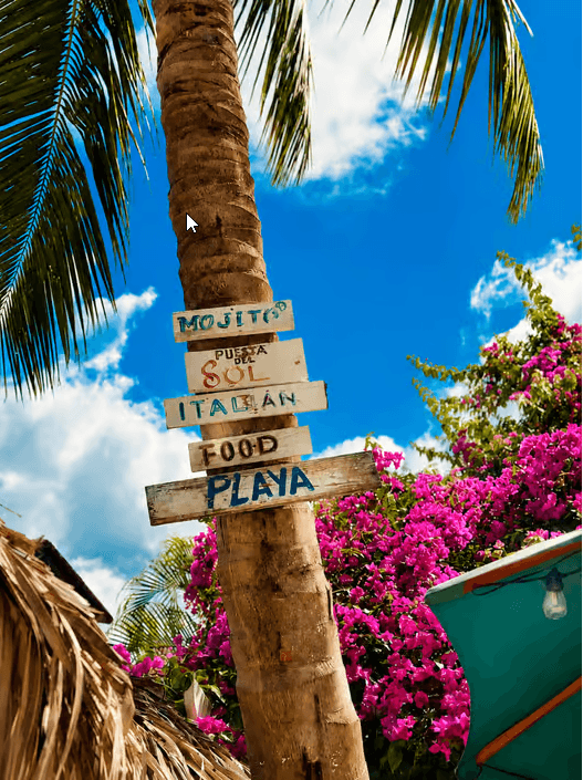 Punta Cana: VIP-Katamaran-Tour zur Insel Saona, All Inclusive - Dominican Republic