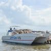 Los Haitises National Park Tour from Samaná Port - Dominican Republic
