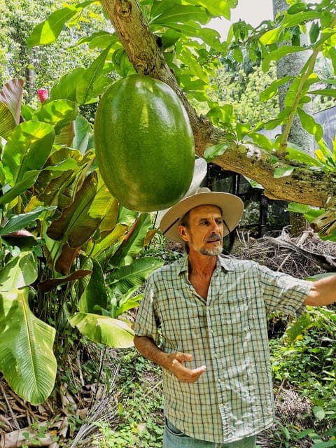 Puerto Plata: Taino Valley and Dominican Flavor Experience - Photo 4 (Gallery view)