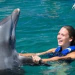 Swim with Dolphins in Punta Cana