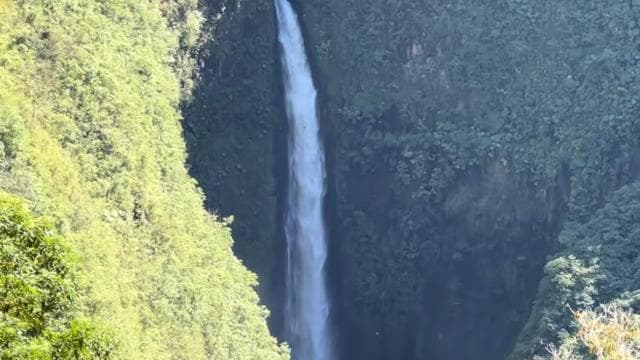 拉巴斯瀑布和金鸡纳之旅 - Photo 5 (Gallery view)
